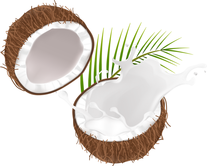 coconut vector realistic with coconut milk